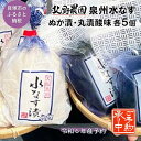 【ふるさと納税】北野農園　泉州水なすぬか漬5個＋丸漬酸味5個