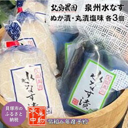 【ふるさと納税】北野農園　泉州水なすぬか漬3個＋丸漬塩味3個