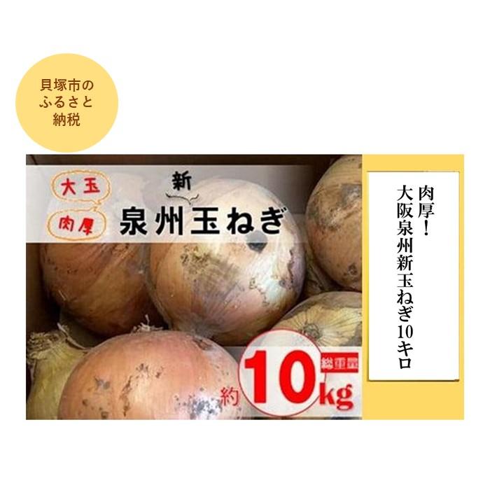【ふるさと納税】肉厚!大阪泉州新玉ねぎ10kg