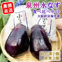【ふるさと納税】<先行予約>北野農園 泉州水なすぬか漬2個+生水なす2個