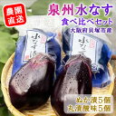 【ふるさと納税】<先行予約>北野農園 泉州水なす丸漬酸味2個+生水なす2個