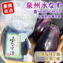 【ふるさと納税】<先行予約>北野農園 泉州水なす丸漬塩味2個+生水なす2個