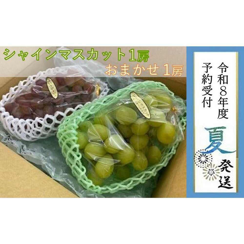 【ふるさと納税】＜2026年 先行受付 8月中旬発送＞【貝塚市産】シャインマスカット＆おまかせ各1房 約1.2kg | 数量限定 先行予約 予約 ..