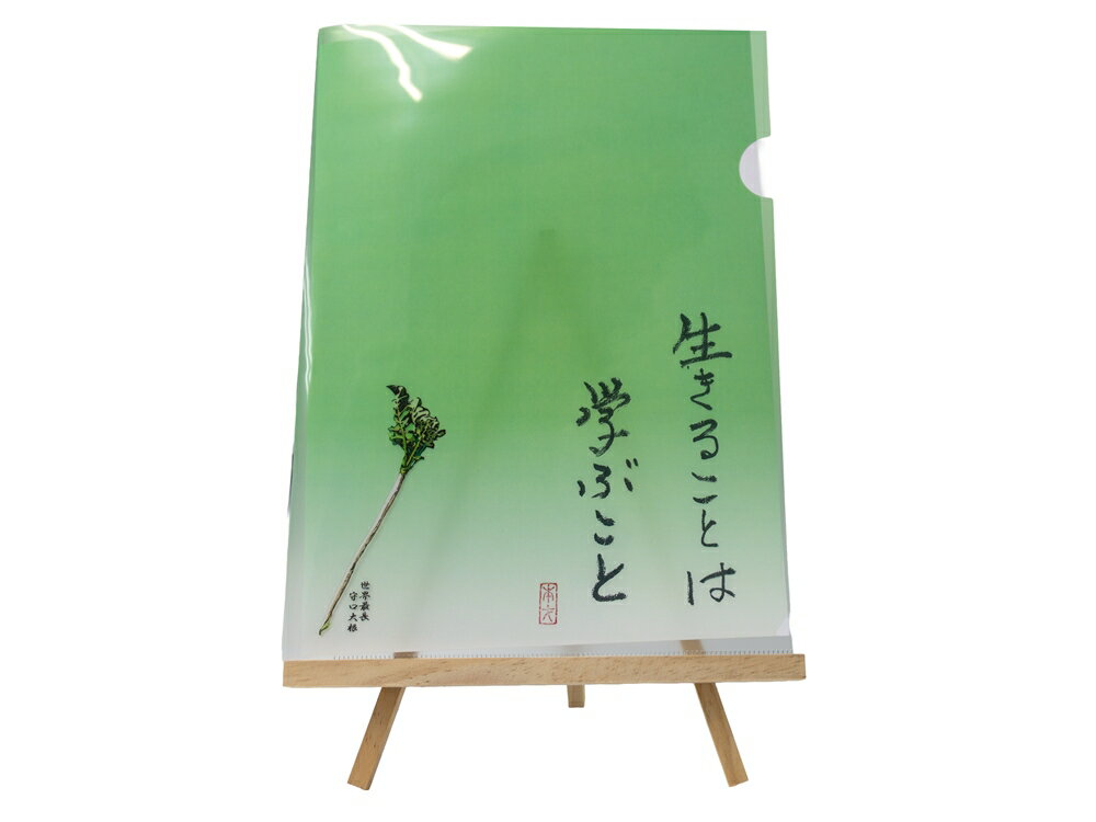 オールケアクリアファイルA4[生きることは学ぶこと][2448]