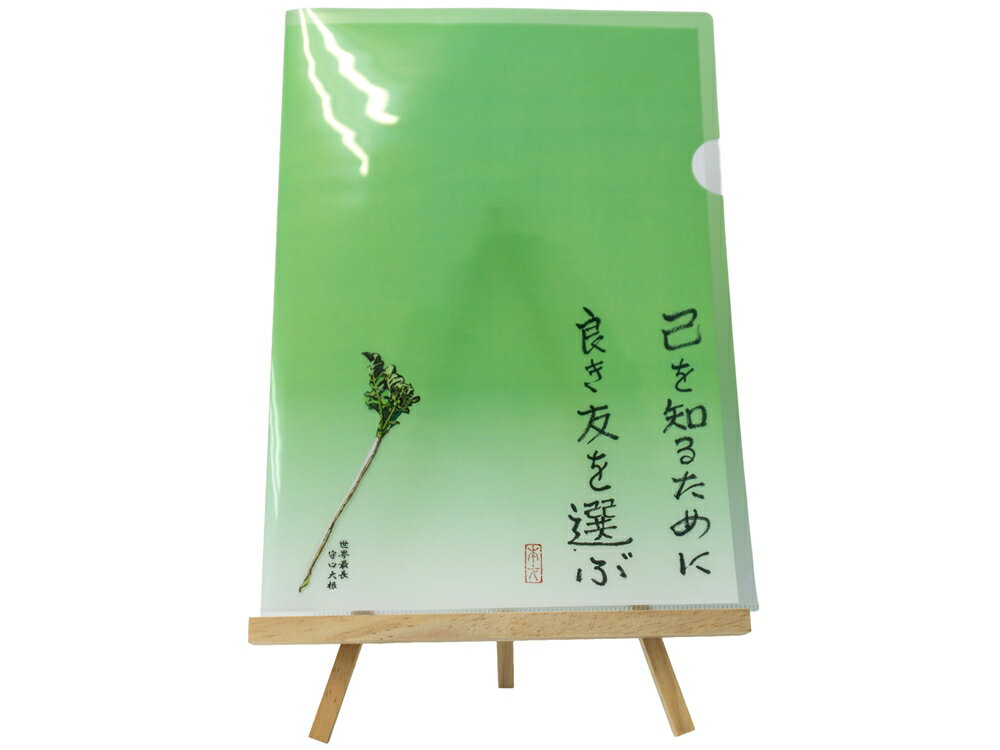 オールケアクリアファイルA4[己を知るために良き友を選ぶ][2449]