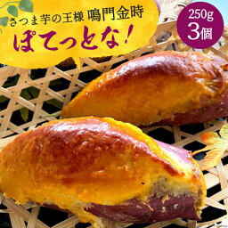 【ふるさと納税】[和菓子屋がスイートポテト焼いちゃいました] ぽてっとな！250g×3個 [御菓子司つくし 大阪府 守口市] [0835]