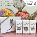 【ふるさと納税】化粧品 マニキュア「ネイルエス」紅茶セット｜シンセリティーコスメ 大阪府 守口市 [2013r]