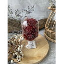 【ふるさと納税】【赤系】天球bottle flowers Msize【1305651】(4)
