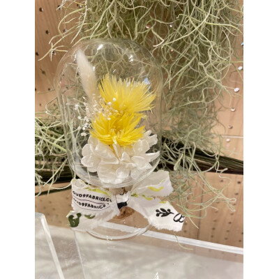 [黄色系]天球bottle flowers Msize