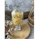 【ふるさと納税】【黄色系】天球bottle flowers Msize【1307788】(4)