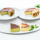 【ふるさと納税】茨木バスクチーズケーキ ホール プレーン ピスタチオ【配送不可地域:離島】【1436428】