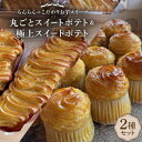 【ふるさと納税】《2種》スイートポテトセット(丸ごとスイートポテトと極上スイートポテト)【配送不可地域:離島】【1605459】