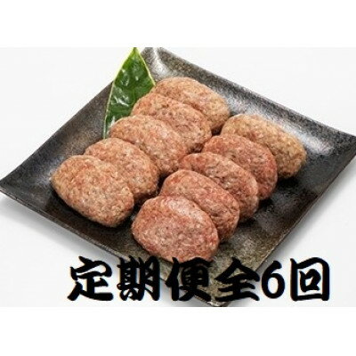 【2ヵ月毎定期便】特選和牛(焼肉薩摩の完熟平野幸一之牛)ハンバーグ10個全6回【配送不可地域：離島】【4050394】