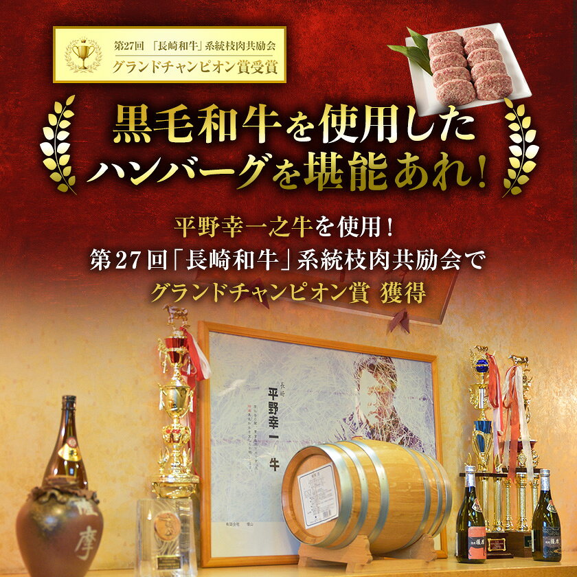 【ふるさと納税】【2ヵ月毎定期便】特選和牛(焼肉薩摩の完熟平野幸一之牛)ハンバーグ10個全6回_ ハンバーグ 和牛 牛肉 惣菜 定期便 冷凍 グルメ 高級 お取り寄せ 美味しい 人気 おすすめ 送料無料 【配送不可地域：離島】【4050394】 f272116-ibaraki-10000481 大阪府茨木市 サンプル画像2
