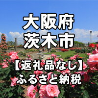 楽天ふるさと納税　【ふるさと納税】大阪府茨木市への寄付（返礼品はありません）