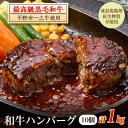 【ふるさと納税】特選和牛〈焼肉薩摩 完熟平野幸一之牛〉ハンバーグ10個【配送不可地域:離島】【1014403】
