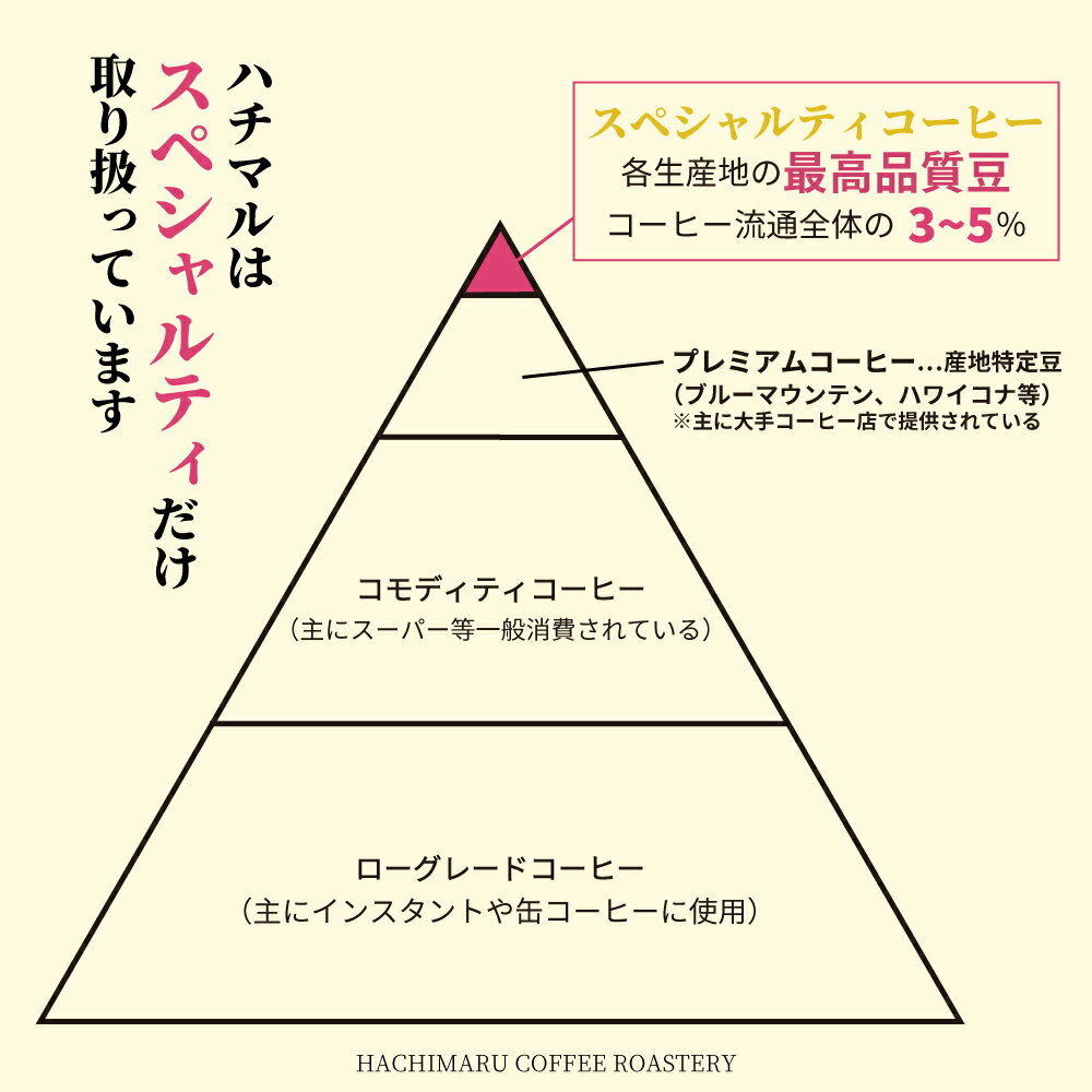 【ふるさと納税】C188　【受注後焙煎/900g】スペシャルティコーヒー3種飲み比べ（300g×3種）