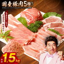 【ふるさと納税】期間限定 訳あり 国産 豚肉 5種 食べ比べ 合計 1.5kg(切り落とし/ロースステーキ/ももスライス/ローススライス/ミンチ)小分け 【丸善...