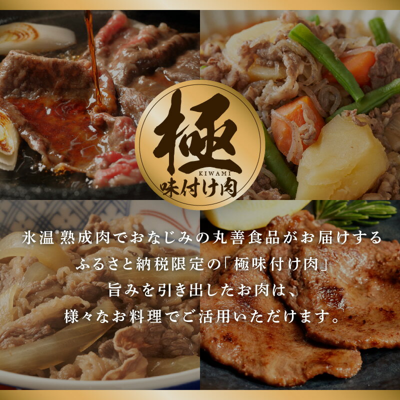 【ふるさと納税】【丸善旨塩ダレ】牛たん 750g（250g×3）氷温熟成牛 牛肉 熟成肉 氷温熟成 作り方 ふるさと納税オリジナル 限定