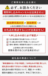 【ふるさと納税】【3000円】JOYフェイスタオル 2枚（サマーブラウン）お試し 泉州タオル 日本製 綿100％ ※ 薄手 パイル 無地 吸水力 柔らかい 耐久性 単色 泉佐野市 送料無料 新生活