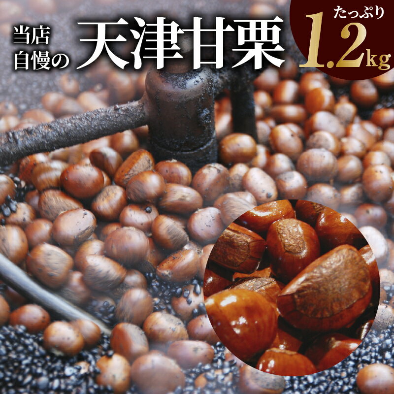 【ふるさと納税】天津甘栗 熟練職人が発送当日に焼いてます たっぷり1.2Kg！ 当店自慢 デザート おやつ お菓子 スイーツ 和菓子