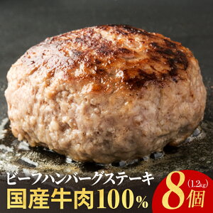 【ふるさと納税】ハンバーグ 8個 牛肉 100％ 無添加 国産 1.2kg 個別包装 焼くだけ 便利 肉汁