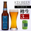 【ふるさと納税】【ビールの縁側】KIX BEER 樽生ペールエール 3リットル（専用ポンプ付き） 関 ...