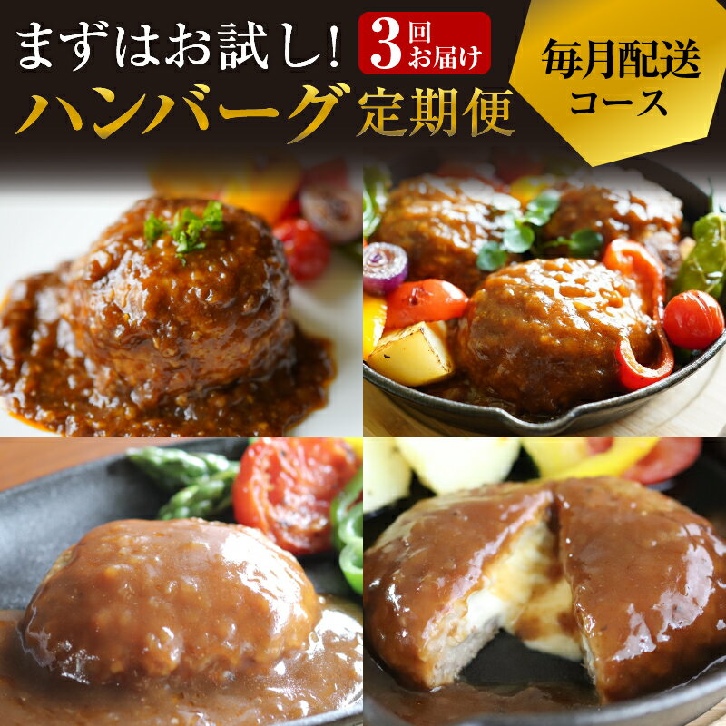 【ふるさと納税】【定期便】まずはお試し！ハンバーグ定期便 全3回（3か月） お楽しみ 1〜2人向け 【毎月配送コース】