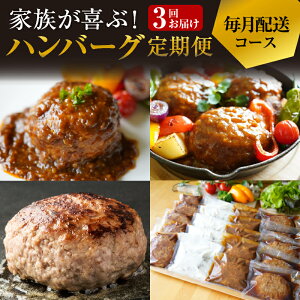 【ふるさと納税】＼定期便／ 3回 ハンバーグ お楽しみ 2〜3人 向け 毎月配送コース 国産 牛肉 ハンバーグステーキ 氷温熟成 煮込みハンバーグ 泉州玉ねぎ ソース 簡単調理 関西 大阪 泉佐野市 お取り寄せ お取り寄せグルメ 冷凍 送料無料 肉の泉佐野