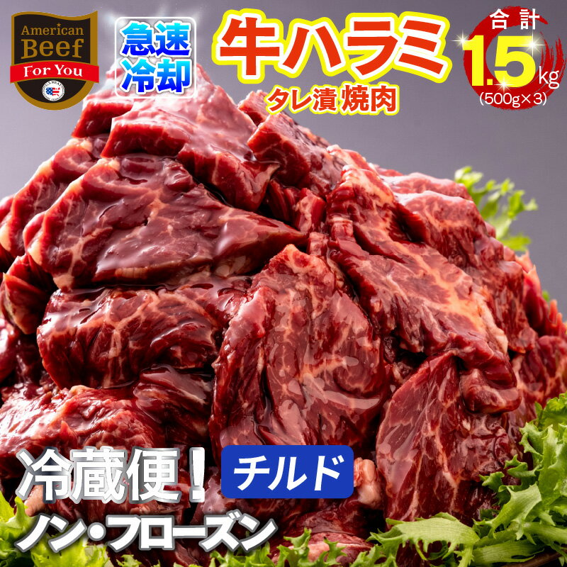 【ふるさと納税】牛肉 1.5kg 牛ハラミ 小分け 焼肉 バーベキュー 冷蔵便 チルド ノンフローズン 味付け肉 タレ漬 焼くだけ 簡単 ご飯のおとも 関西 大阪 泉佐野市 お取り寄せ お取り寄せグルメ 食品 食べ物 送料無料