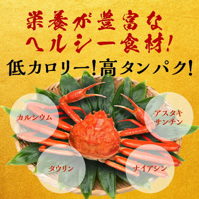 【ふるさと納税】楽ちん 蟹スキ セット 1.2kg 太脚 3L サイズ (3-4人前) 加熱用 ずわい蟹 ハーフポーション 半むき身 カット かに鍋 蟹しゃぶ しゃぶしゃぶ 焼きガニ 1kg 以上