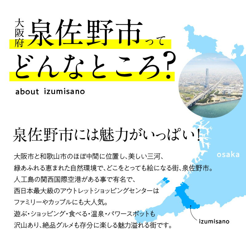 【ふるさと納税】大阪府泉佐野市の対象施設で使える楽天トラベルクーポン 寄付額30,000円 ホテル 旅館 宿泊予約 国内旅行 旅行 予約 宿泊 連泊 観光 観光地 国内 旅行クーポン 宿泊券 旅行券 チケット ビジネス