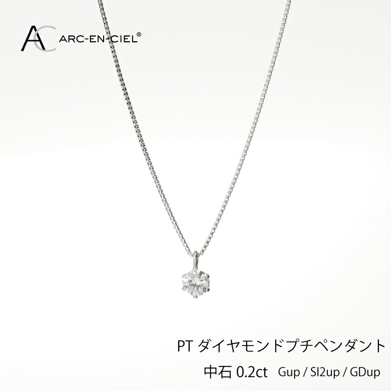 8位! 口コミ数「0件」評価「0」ダイヤモンド ペンダント ネックレス 計 0.2ct プラチナ ジュエリー アルカンシェル アクセサリー 宝石 プレゼント レディース ギフ･･･ 