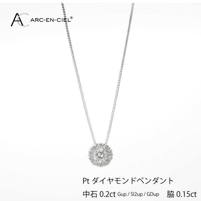 12位! 口コミ数「0件」評価「0」ダイヤモンド ペンダント ネックレス 中石 計 0.2ct プラチナ ジュエリー アルカンシェル アクセサリー 宝石 プレゼント レディース･･･ 