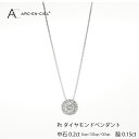 【ふるさと納税】ダイヤモンド ペンダント ネックレス 中石 計 0.2ct プラチナ ジュエリー アルカンシェル アクセサリー 宝石 プレゼント レディース ギフト 女性 鑑別書付き