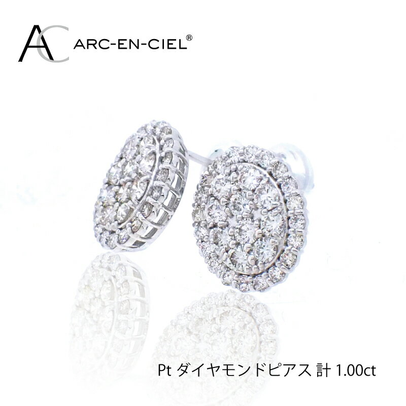 【ふるさと納税】ARC-EN-CIEL PTダイヤピアス（計 1.0ct）