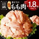 【ふるさと納税】国産 若鶏 もも肉 1.8kg （ 300g
