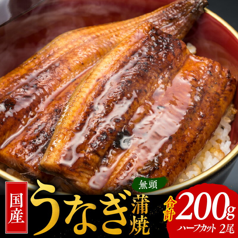 【ふるさと納税】国産うなぎ ハーフカット 合計 200g 秘伝のたれ 蒲焼 訳あり 鰻 ウナギ 無頭 炭火焼き 備長炭 手焼き 土用の丑の日