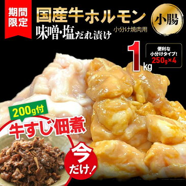 【ふるさと納税】国産 牛ホルモン1.0kg（250g×4）小腸 特製 味噌・塩だれ漬 焼肉用 牛すじ佃煮200g付 訳あり