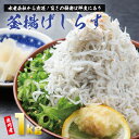 【ふるさと納税】期間限定 しらす 釜揚げ 1kg 500g 2パック 小分け お試し しらす丼 鮮度 大阪湾で水揚げ ふわふわ 食感 おつまみ 酒の肴 お取り寄せ お取り寄せグルメ 送料無料 ごはんのおとも 食品 冷凍 大阪 泉佐野市