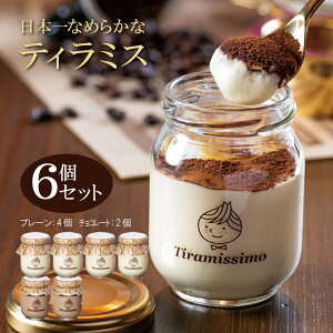 【ふるさと納税】ティラミス 日本一なめらかティラミス 6個 セット プレーン 4個 チョコレート 2...