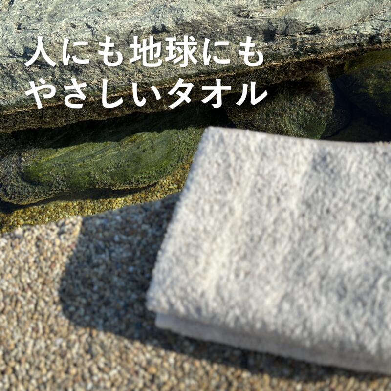 【ふるさと納税】バスタオル 10枚 セット ブラウン ボーダー 速乾 泉州タオル THE EARTH TOWEL 日本製 やや薄手 オーガニック 吸水力 後晒し 日用品 大阪府 泉佐野市 送料無料 新生活