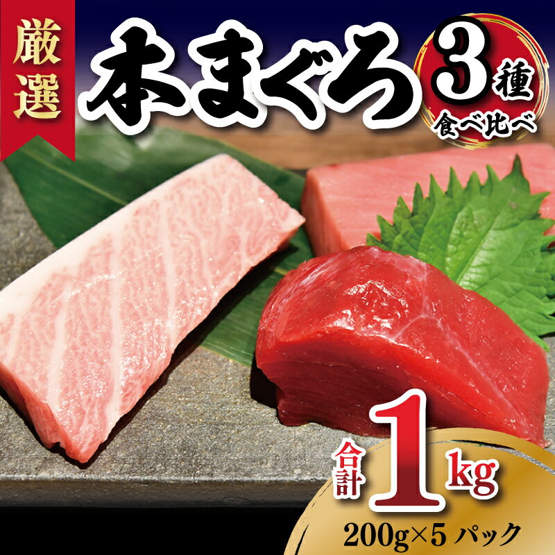 【ふるさと納税】期間限定 マグロ 本マグロ 3種 食べ比べ セット 200g × 5 合計 1kg 大トロ 中トロ 赤身 ブロック 小分け 魚 鮮魚 海鮮 刺し身 柵 鮪達人 お取り寄せ お取り寄せグルメ 大阪府 泉佐野市 冷凍 送料無料のサムネイル