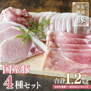 【ふるさと納税】【9月30日受付終了】 期間限定 豚肉 お肉 4種 セット 1.2kg 氷温(R)熟成豚 国産 小分け 切り落とし モモスライス ロースステーキ ローススライス 各 300g 使いやすい 便利 冷凍 生姜焼き とんかつ BBQ お取り寄せグルメ 食品 泉佐野市 送料無料 肉の泉佐野