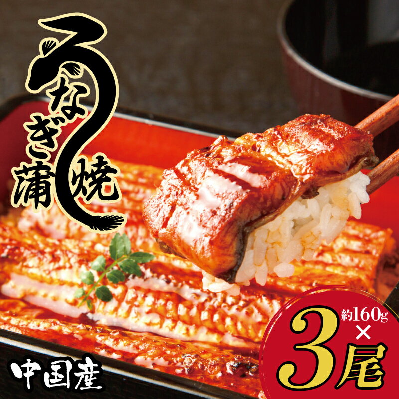【ふるさと納税】うなぎ 蒲焼 合計480g 約160g× 3尾 秘伝のたれ仕込み 中国産 温めるだけ 簡単 レンジ調理 ふっくら ふわふわ 炭火焼き 備長炭 手焼き 食品 冷凍配送 お取り寄せ お取り寄せグルメ 泉佐野市 送料無料のサムネイル