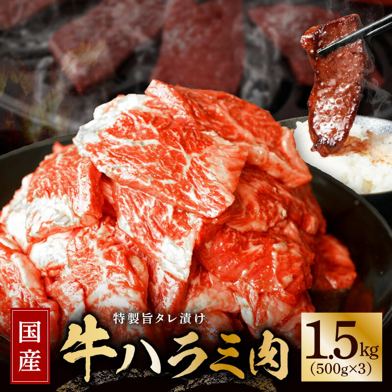 【ふるさと納税】国産 牛ハラミ肉 1.5kg 特製旨タレ漬け 希少部位 氷温熟成 牛肉 お肉 味付き 訳あり 不揃いのサムネイル