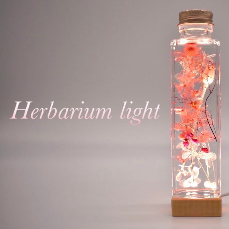 Herbarium Light 照明 ライト 小物 アンティーク調