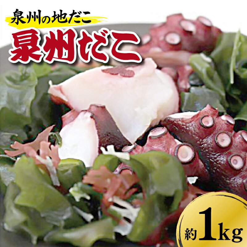 泉州タコ1kg