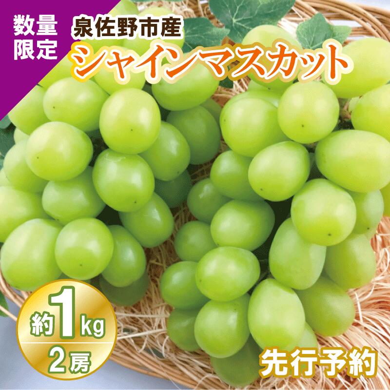 【ふるさと納税】数量限定 シャインマスカット 約1kg 2房 泉佐野産 先行予約 種なし 皮ごと食べられる 弾ける食感 濃厚な甘み 上品な香り 食品 フルーツ 果物 マスカット お取り寄せ お取り寄せフルーツ 冷蔵 関西 大阪 泉佐野市 送料無料のサムネイル