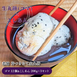 【ふるさと納税】杵つき 生丸餅 ゴマ 12個 ＆ こしあん 200g×3 セット 老舗 和菓子屋さん 生餅 餅 国産黒ゴマ あんこ 昔ながら 手作り 甘さ控えめ そのまま食べても美味しい あんころ餅 おしるこ 食品 お取り寄せ スイーツ デザート 冷凍 関西 大阪府 泉佐野市 送料無料